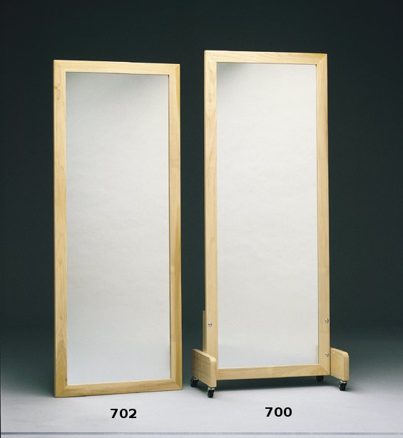 Treatment Mirrors ANSI Safety Glass Therapy Mirrors Glassless